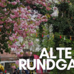 ALTE MU Rundgang