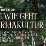 Workshop: Wie geht Permakultur