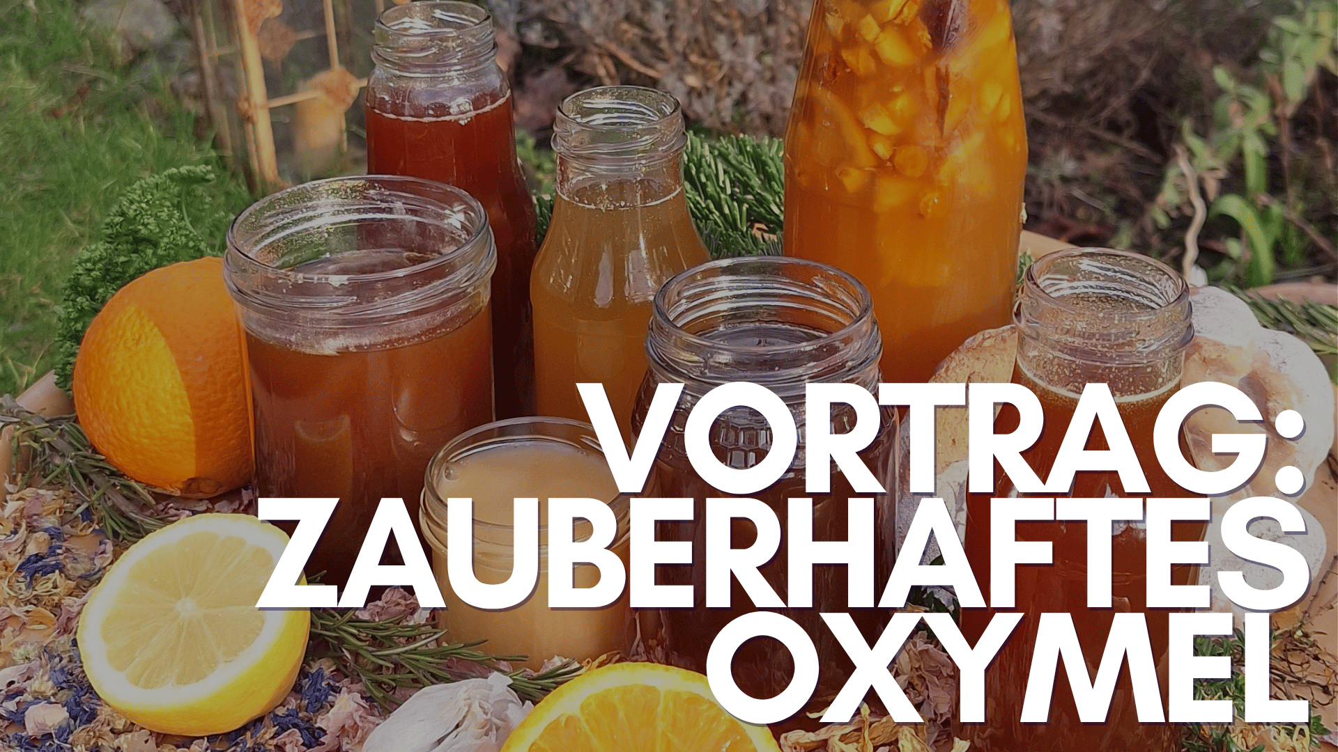 Kieler Honig:Vortrag